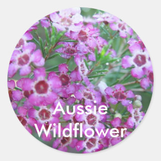 Adesivo Geralton Wax australiano