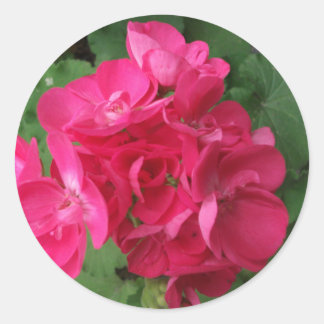 Adesivo Gerânios Rosa