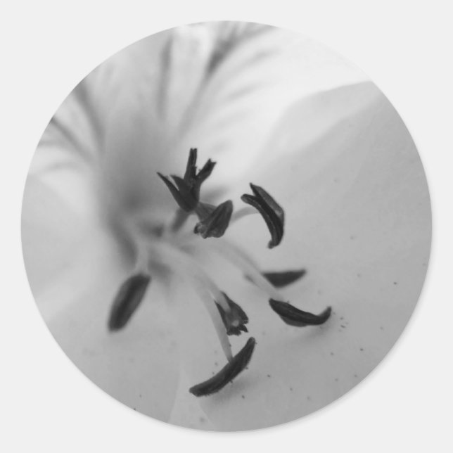 Adesivo Geranium Center Stickers B&W (Frente)