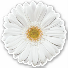 Adesivo Gérber Branco Daisy Flower Kiss-Cut Sticker