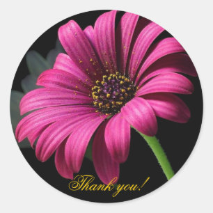 Adesivo Gerber Rosa Obrigado!