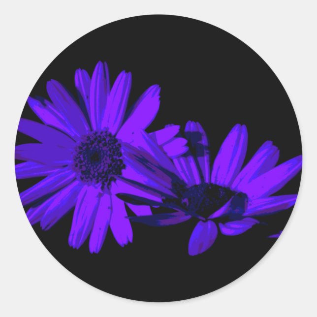 Adesivo Gerbera à noite 1 (Frente)