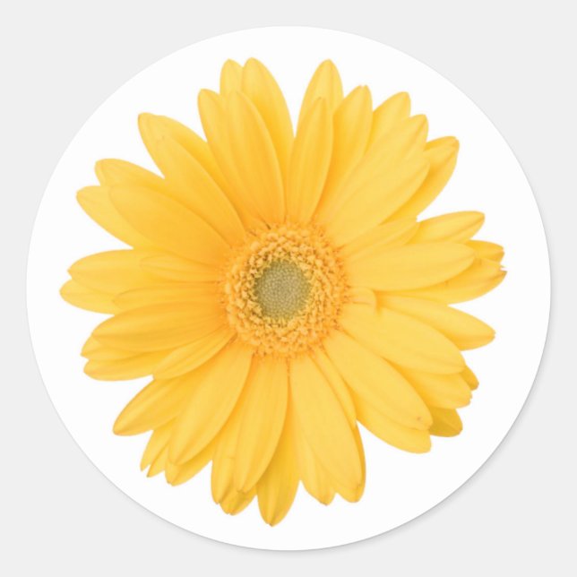 Adesivo Gerbera Daisy Flower - Amarelo brilhante (Frente)