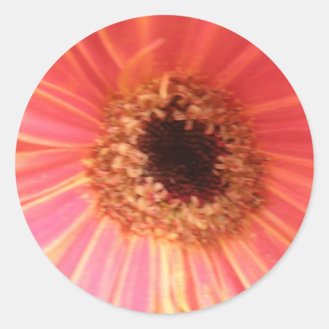 Adesivo Gerbera Daisy Flower Stickers (Frente)