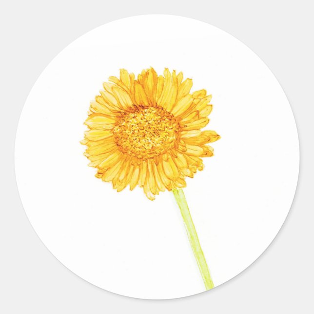 Adesivo Gerbera daisy Sticker (Frente)