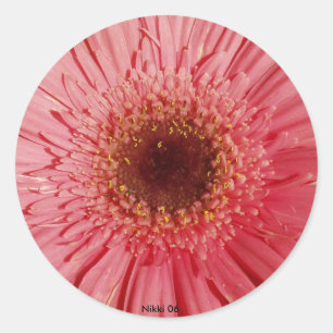 Adesivo Gerbera Daisy Sticker