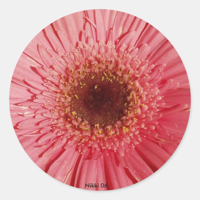 Adesivo Gerbera Daisy Sticker (Frente)