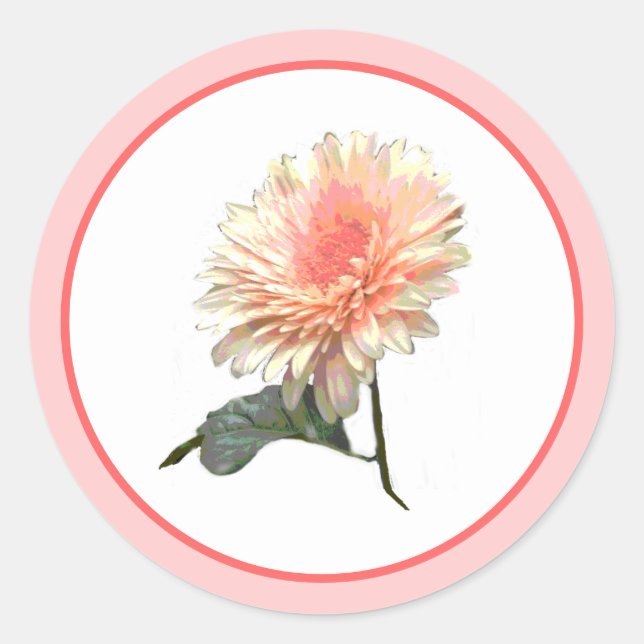 Adesivo Gerbera Splinder Design (Frente)