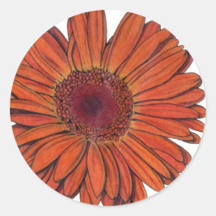 Adesivo Gerbera Sticker