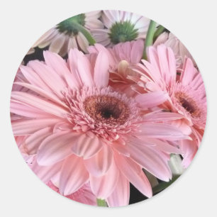 Adesivo gerberas cor-de-rosa