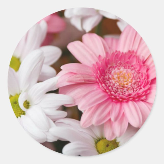 Adesivo Gerberas E Chrysanthemos (Frente)