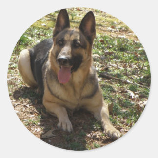 Adesivo German shepherd