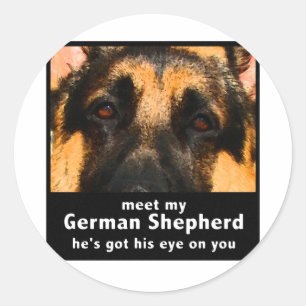Adesivo German shepherd