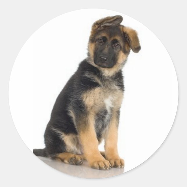 Adesivo German shepherd (Frente)
