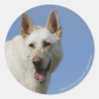 Adesivo German shepherd branco