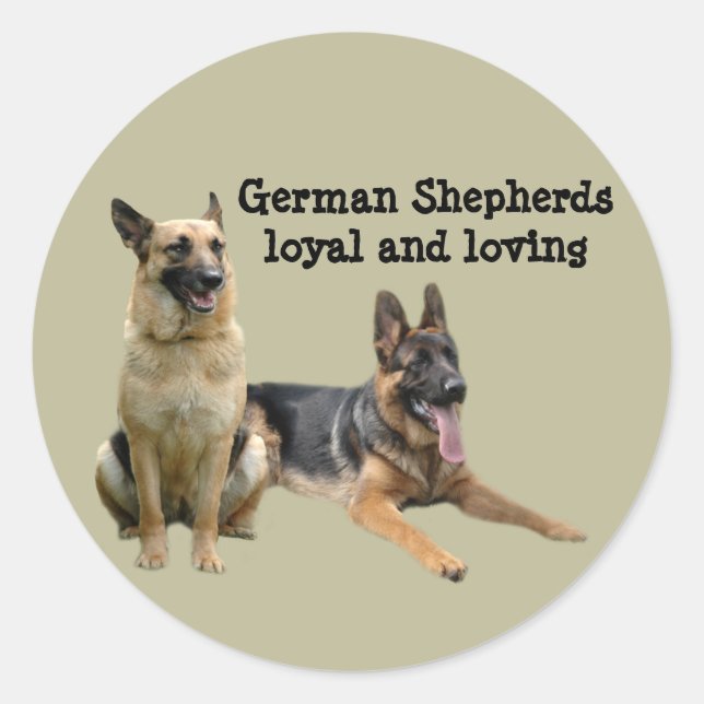 Adesivo German shepherd Buddies Sticker (Frente)