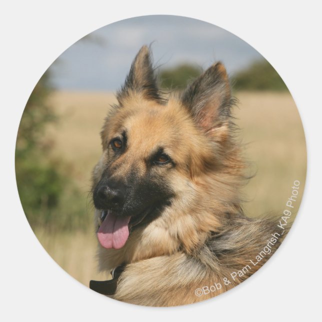 Adesivo German shepherd com a língua para fora (Frente)