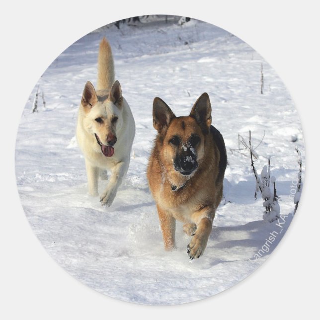 Adesivo German shepherd correndo na neve (Frente)