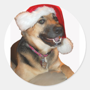 Adesivo German shepherd de Natal