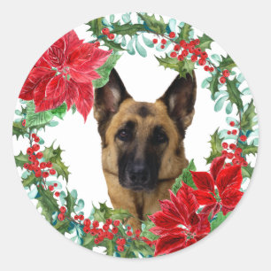 Adesivo German shepherd de Poinsettia Cão Fora de Natal