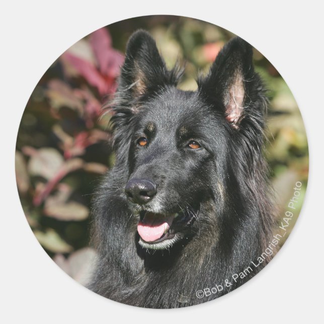 Adesivo German shepherd Preto Longo (Frente)