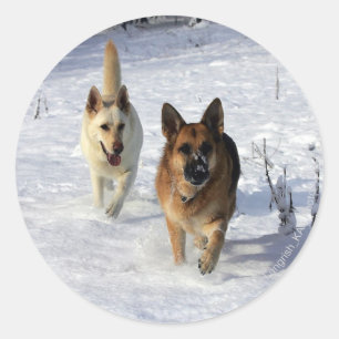 Adesivo German shepherd que funcionam na neve