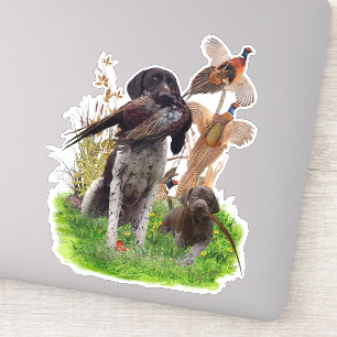 Adesivo German Shorthaired Pointer    Sticker