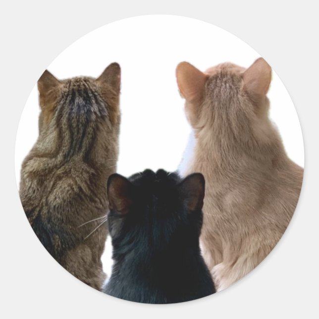 Adesivo Gerônimo, Henri & Floyd Sticker (Frente)