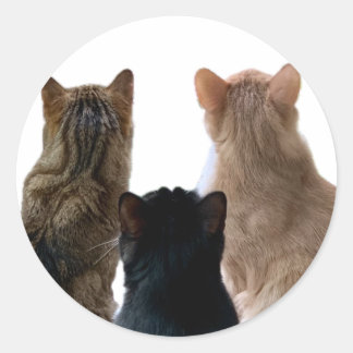 Adesivo Gerônimo, Henri & Floyd Sticker