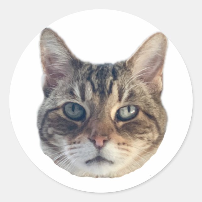 Adesivo Geronimo Sticker (Frente)