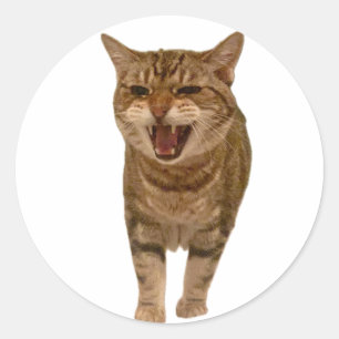 Adesivo Geronimo Sticker - Mewing!