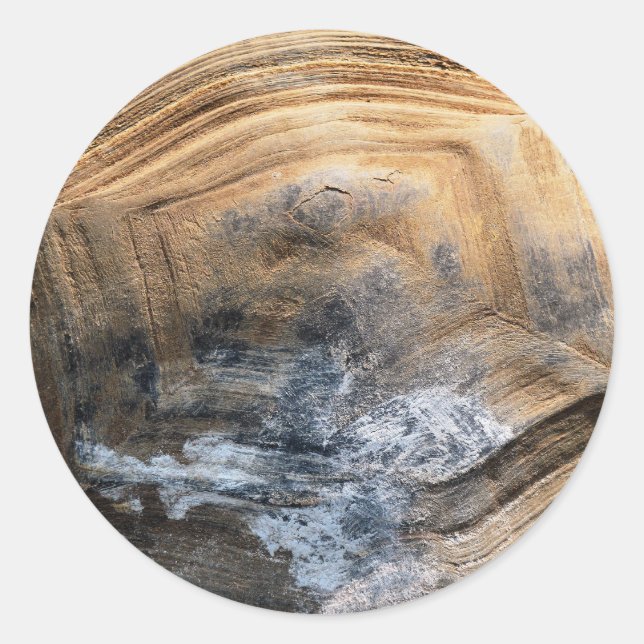 ADESIVO GIANT TORTOISE SHELL (Frente)