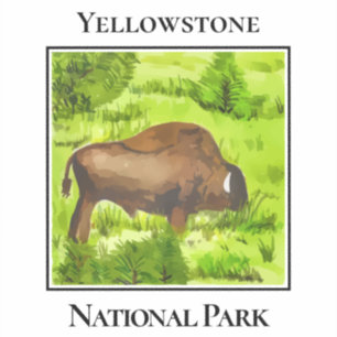 Adesivo Gigante Gentil de Yellowstone