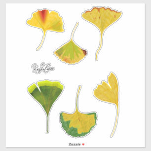 Adesivo Gingko Leaf Stickers