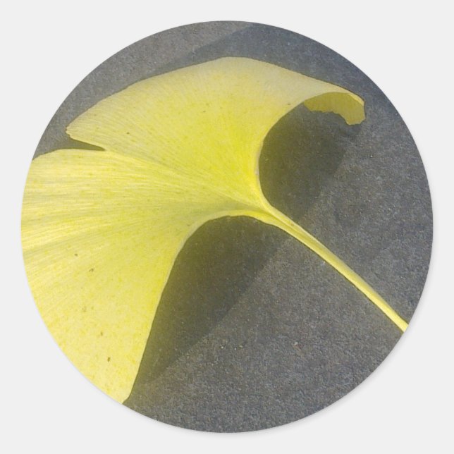 Adesivo Ginkgo Biloba Leaf Sticker (Frente)