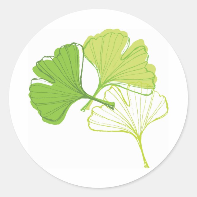 Adesivo Ginkgo Leaf (Frente)
