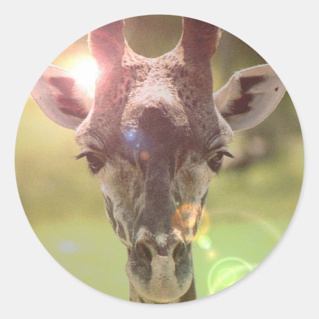 Adesivo girafa (Frente)