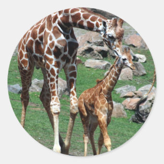 Adesivo Girafa