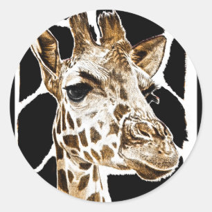 Adesivo girafa