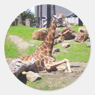 Adesivo Girafa #3