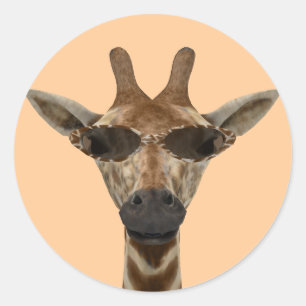 Adesivo Girafa Engraçada Disfarçada Com Óculos de Sol da M