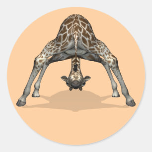 Adesivo Girafa Flexível