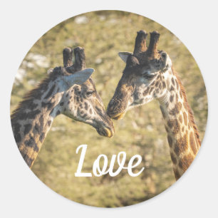 Adesivo Girafas no Love Sticker