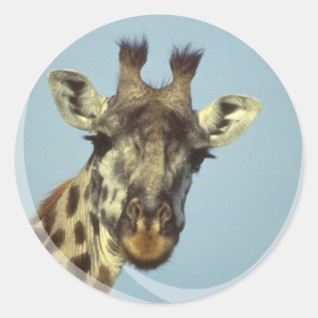 Adesivo Giraffe Design Stickers (Frente)