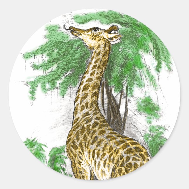 Adesivo Giraffe Gifts (Frente)