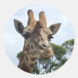 Adesivo Giraffe Sticker - Round
