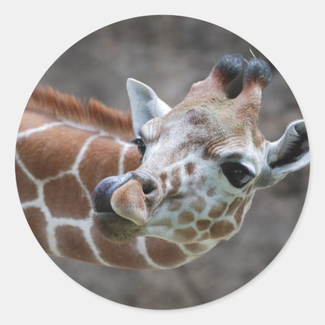 Adesivo Giraffe Tongue Stickers (Frente)