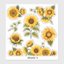 Girassóis brilhantes