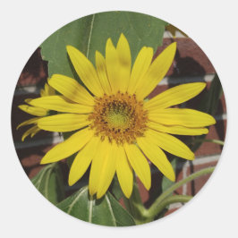 Adesivo Girassol