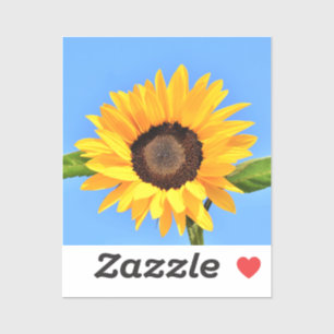 Adesivo Girassol Amarelo contra Sol no Céu Azul - Verão 